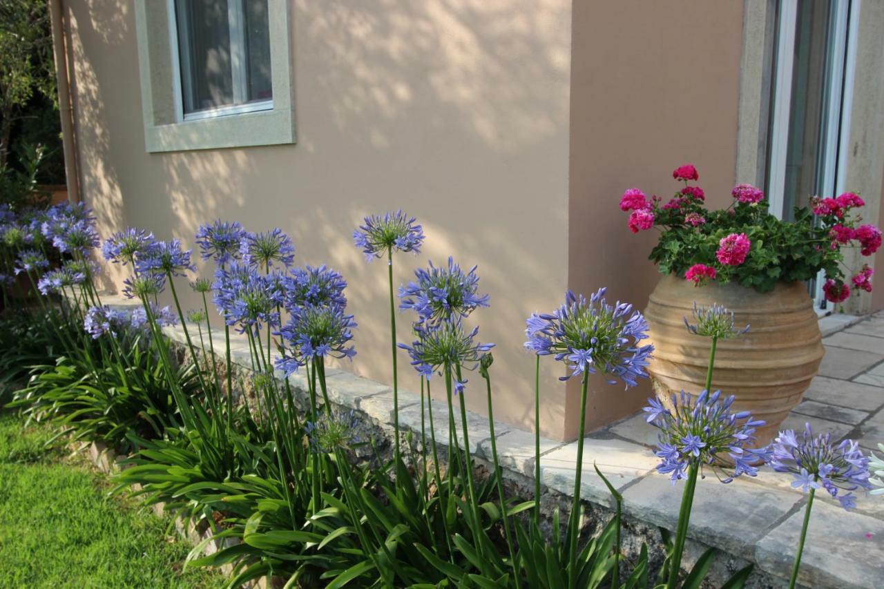 Stone Rose Villa Agios Ioannis  Екстер'єр фото
