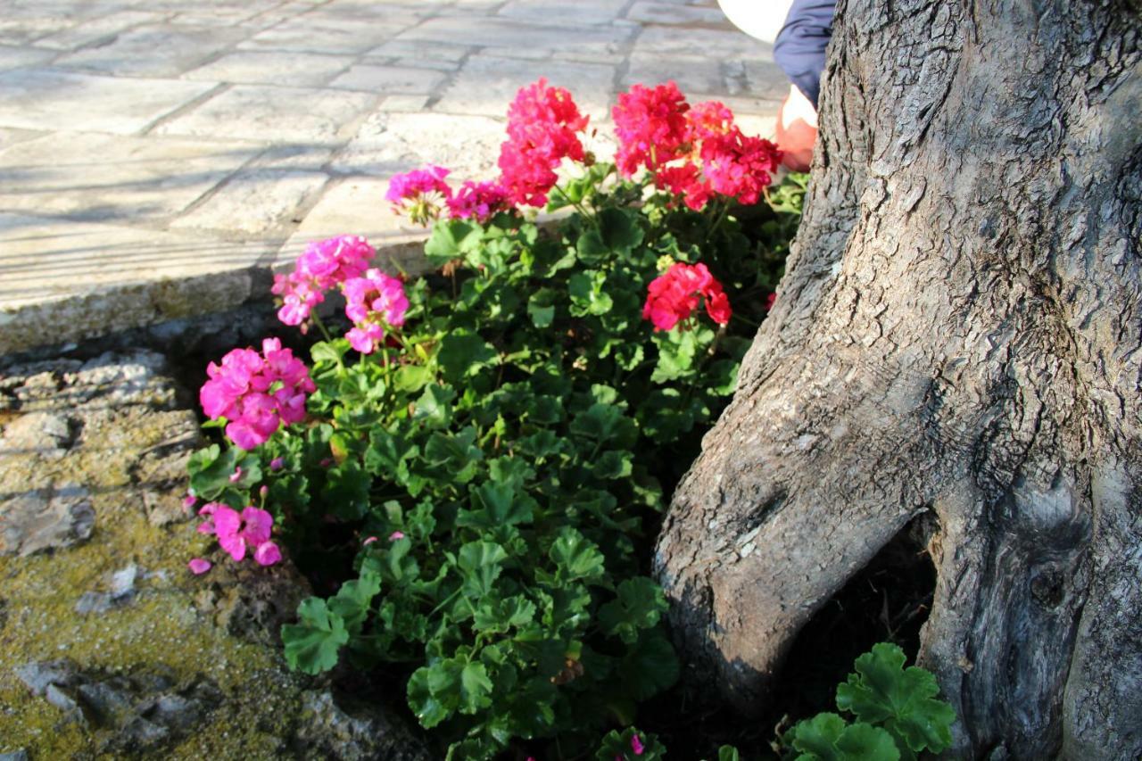 Stone Rose Villa Agios Ioannis  Екстер'єр фото